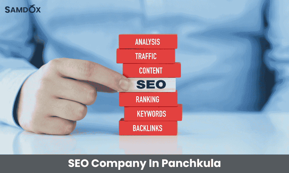 seo company in panchkula